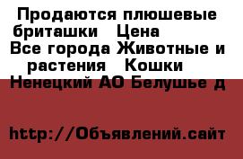 Продаются плюшевые бриташки › Цена ­ 2 500 - Все города Животные и растения » Кошки   . Ненецкий АО,Белушье д.